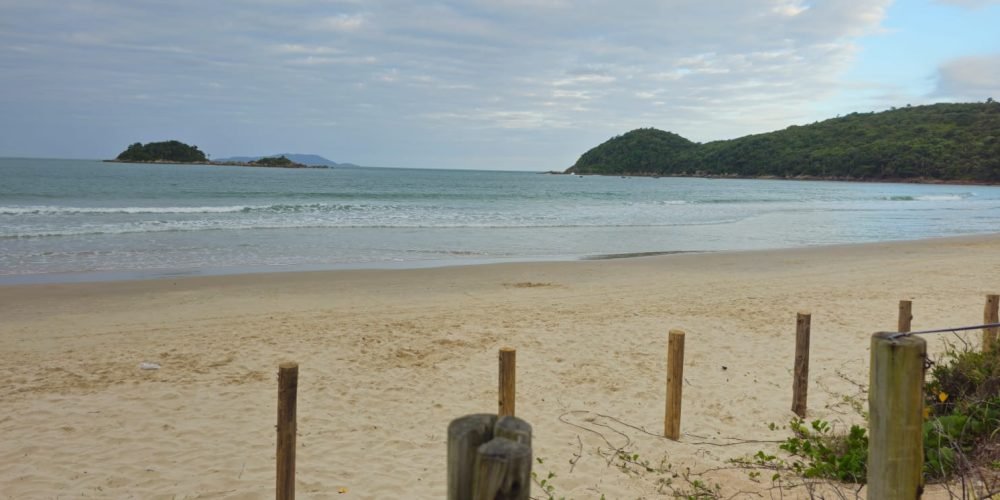 WhatsApp Image 2026-03-26 at 09.11.12 (3)