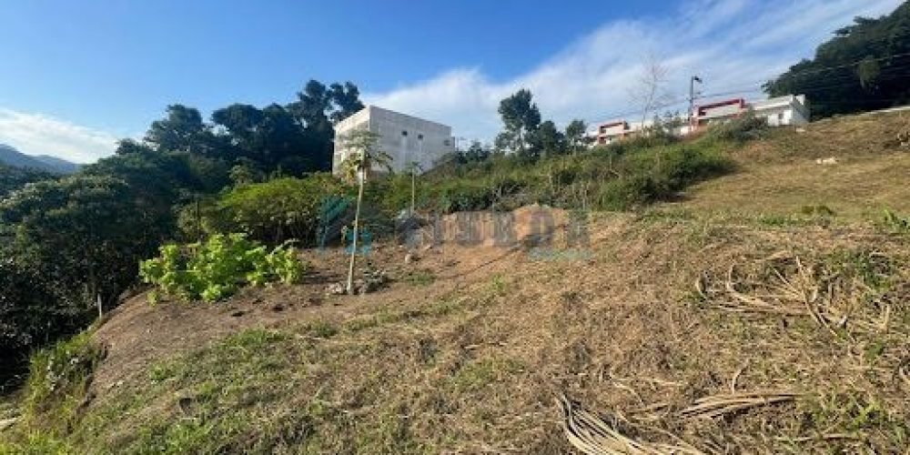 WhatsApp Image 2026-03-30 at 07.36.28